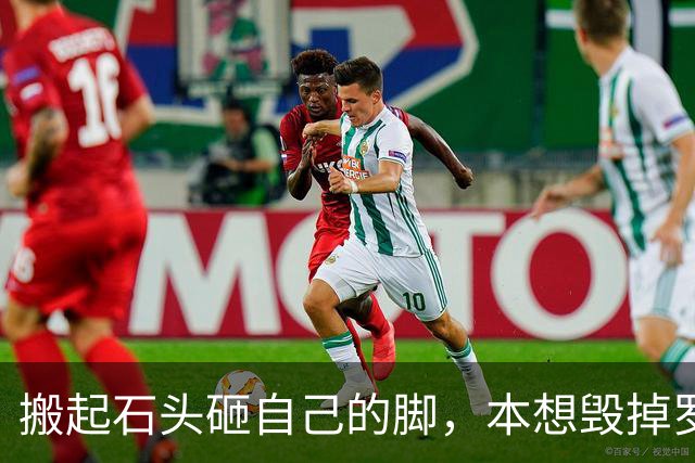 搬起石头砸自己的脚，本想"毁掉"罗永浩，不料自己先被扒个底朝天